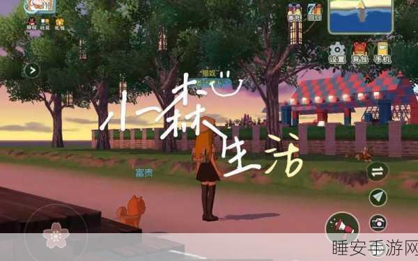 小森生活,揭秘风之岛的解锁秘籍与奇妙之旅