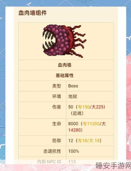 泰拉瑞亚探险新纪元,肉山后顶级装备揭秘与实战搭配攻略