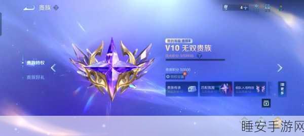 王者荣耀贵族8账号市场价值揭秘,珍稀皮肤与英雄成关键