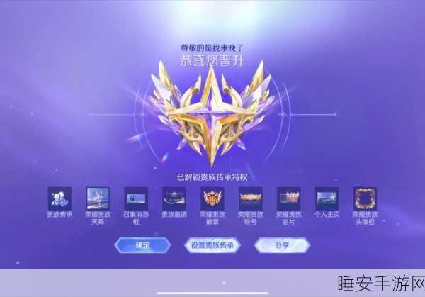 王者荣耀贵族8账号市场价值揭秘,珍稀皮肤与英雄成关键