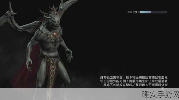上古卷轴5,深入黎明守卫任务,揭秘隐匿与搜寻的终极挑战
