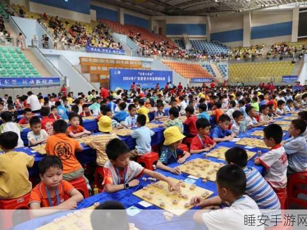 2024象棋盛宴，中国象棋游戏大赛精彩回顾与佳作推荐