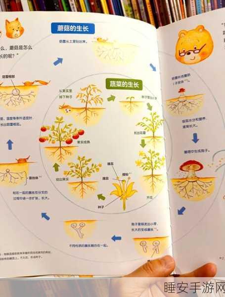 探秘我的世界,蘑菇种植秘籍大公开