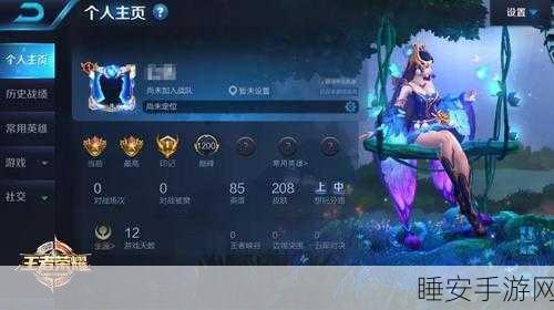 王者荣耀高手秘籍,揭秘隐藏皮肤展示技巧,打造独一无二的个性装扮