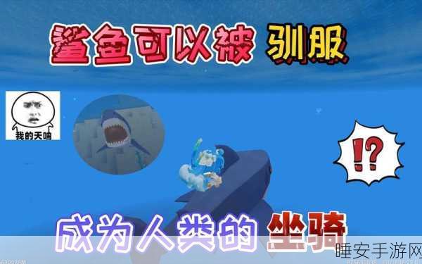 迷你世界探秘,揭秘鲨鱼驯服之谜与海洋冒险新篇章