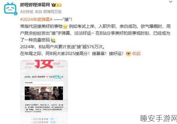 B站年度弹幕接字霸屏576万,揭秘背后故事与热门应用
