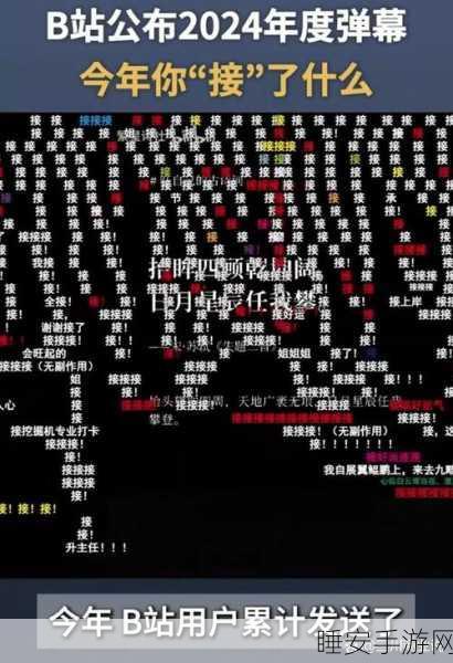 B站年度弹幕接字霸屏576万,揭秘背后故事与热门应用