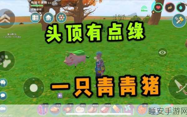 手游攻略揭秘，高效刷取创造与魔法青青猪技巧大公开