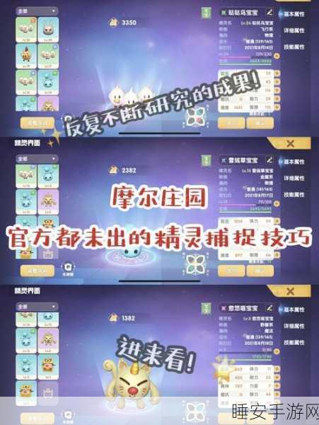 摩尔庄园精灵等级全揭秘,高效升级攻略与分布热点