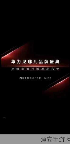华为 Mate 品牌盛典，奏响生命怒放与创新磅礴之曲