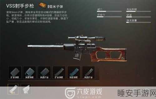 VSS狙击步枪在刺激战场中的极致运用,套装搭配与战术玩法深度解析