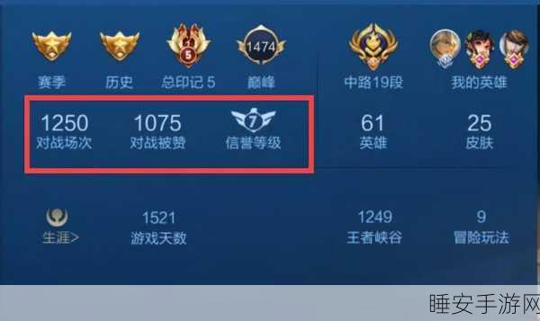 王者荣耀，揭秘王者印记背后的荣耀与征程