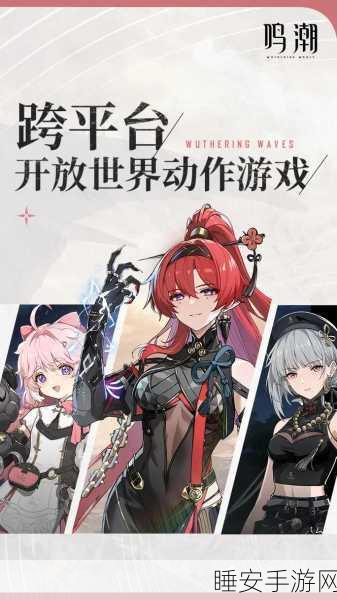 手游圈新晋网红,鸣潮公式热梗全解析,探索游戏界的潮流密码