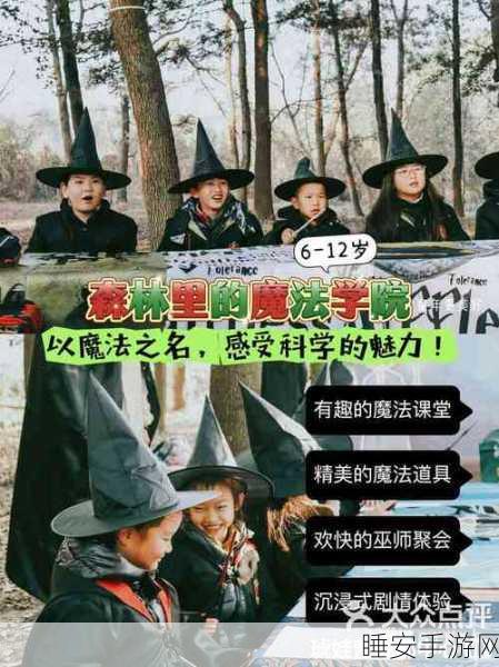 哈利波特手游深度攻略,挑战巫师玩法全解析与必胜技巧