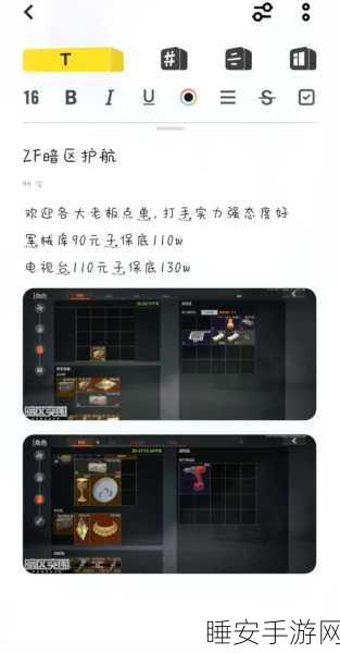 暗区突围,深度解析玩家实力评估秘籍