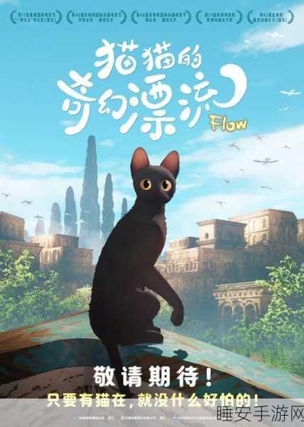 小森生活探索指南,揭秘猫岛神秘之旅