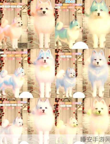 手游新宠!龙之谷柯基犬宠物战力加成与属性全揭秘