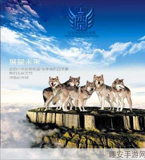 诺亚之心连携机制深度解析，打造无敌团队的秘诀