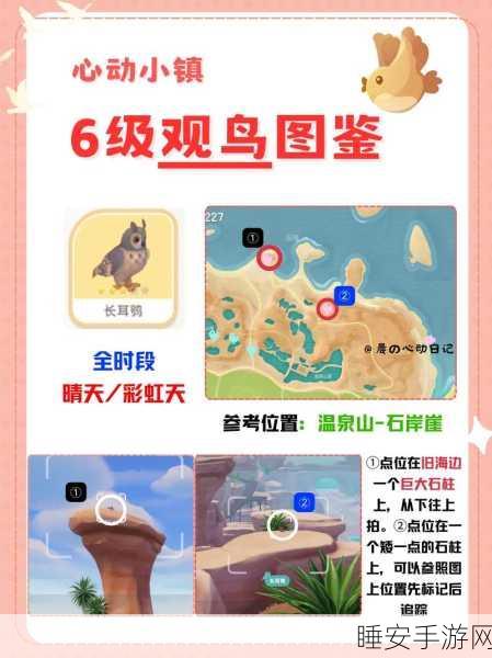 探秘诺亚之心,鸟窝位置全解析及趣味寻宝挑战