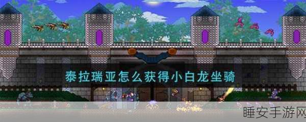 泰拉瑞亚珍稀小白龙坐骑解锁全攻略,独家技巧助你称霸游戏世界