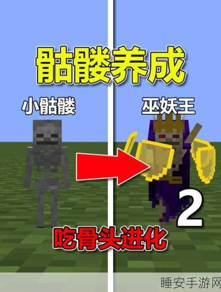 我的世界揭秘，凋零骷髅骑士的生成之谜与战斗攻略