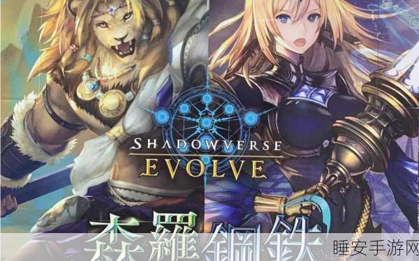 影之诗闪卡深度解析,珍稀价值与实战应用全揭秘