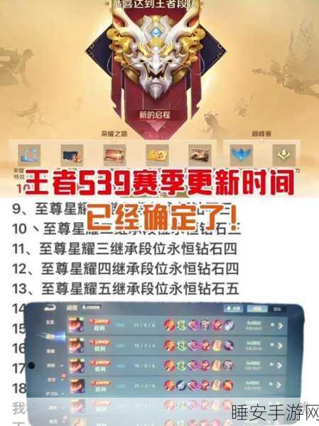 王者荣耀百强争霸赛,揭秘顶尖玩家的荣耀之路