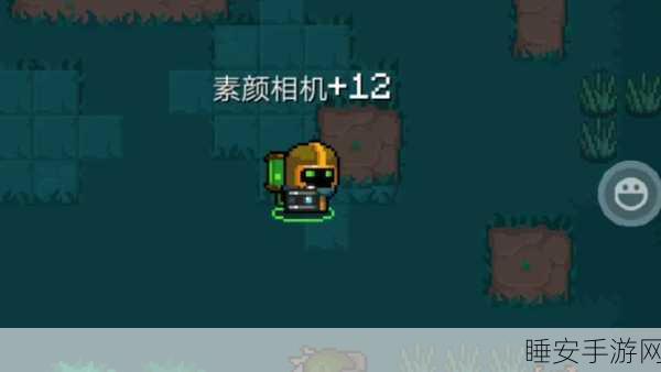 元气骑士素颜相机，深度解析其魅力与强大功能