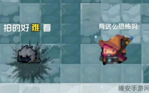 元气骑士素颜相机，深度解析其魅力与强大功能