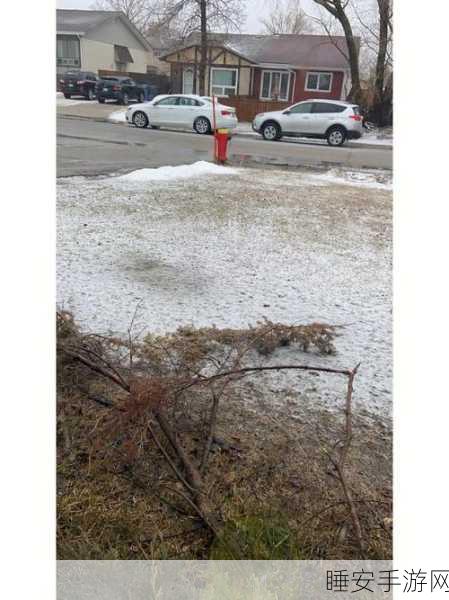 手游界天气预警,两大赛事雨雪交加,三台新游蓄势待发!