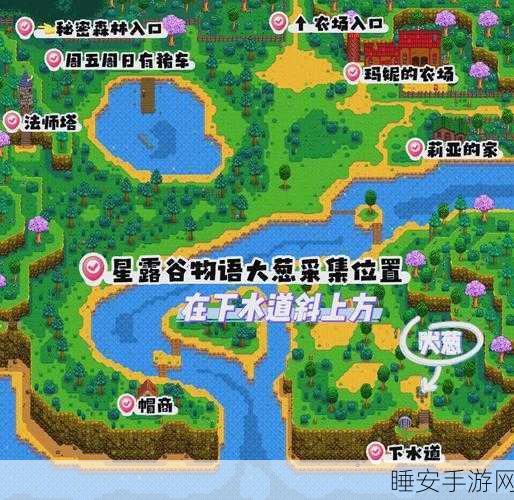 星露谷物语花舞节全攻略,浪漫庆典路线揭秘
