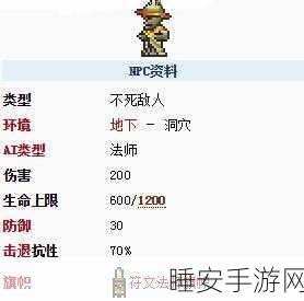 泰拉瑞亚地牢墙艺术探秘,解锁从古老石砖到神秘符文的多样魅力