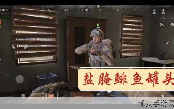 暗区突围绝密攻略,盐腌鲱鱼罐头的奇效战术与实战精髓