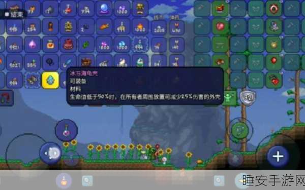 泰拉瑞亚，解锁宠物海龟的奇妙之旅及详细攻略