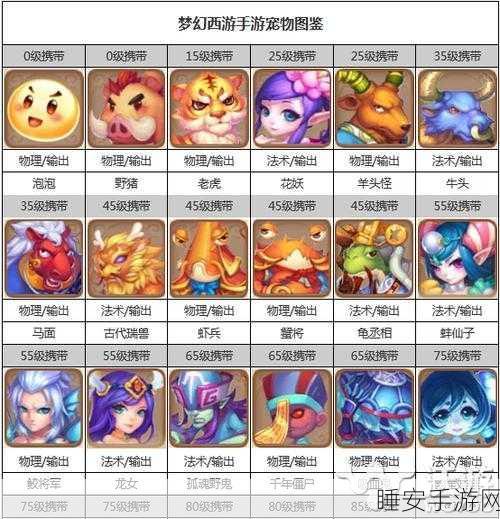 梦幻西游手游，宠物图鉴终极指南，揭秘宠物养成高阶策略