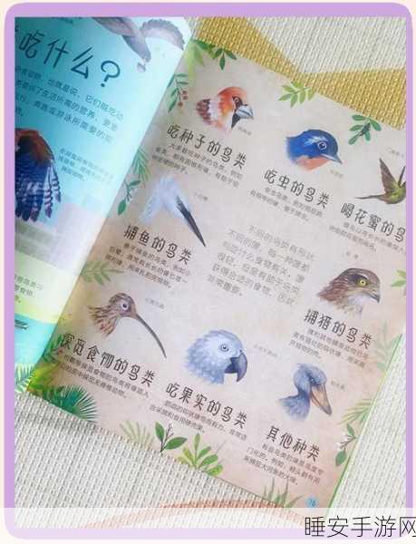探索鸟类色彩的神奇密码,结构色与色素的奇妙交织
