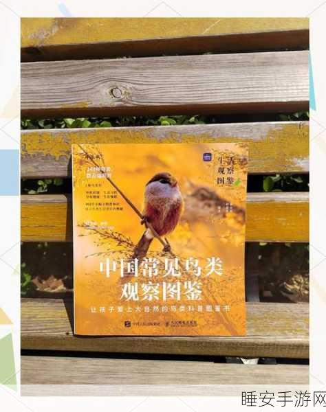 探索鸟类色彩的神奇密码,结构色与色素的奇妙交织