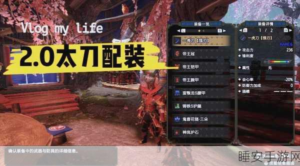 弹壳特攻队太刀流实战秘籍,深度剖析与顶尖攻略