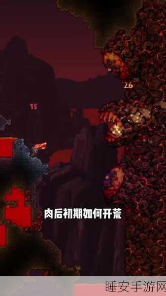 泰拉瑞亚手机版,探索未知,迷失少女角色深度揭秘