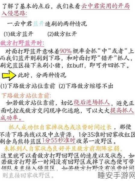 王者荣耀排位神操作，深度解析灵活换路战术与实战反馈