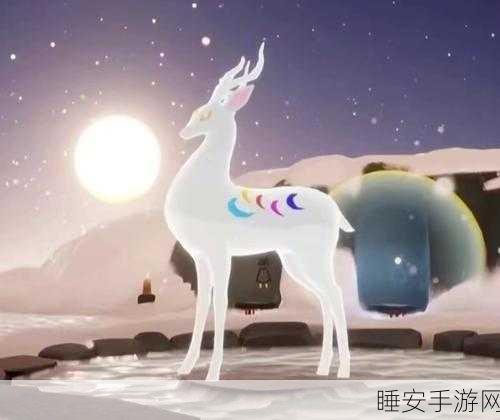 光遇季卡深度解析，主卡与副卡的奇妙差异