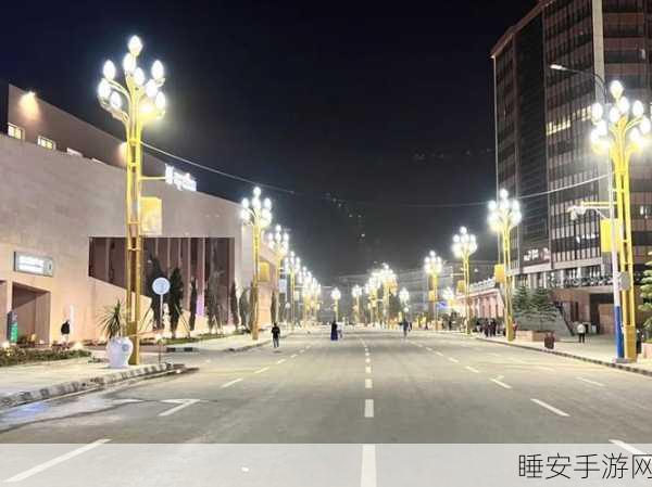 中国智慧路灯技术闪耀非洲,江苏创新照亮埃塞俄比亚首都夜空