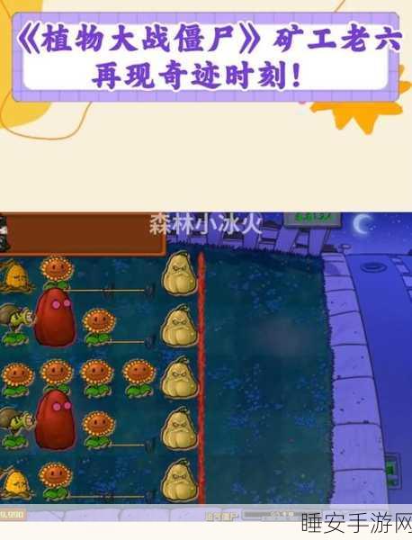 经典再现！植物大战僵尸Zeta版安卓APK独家首发详解