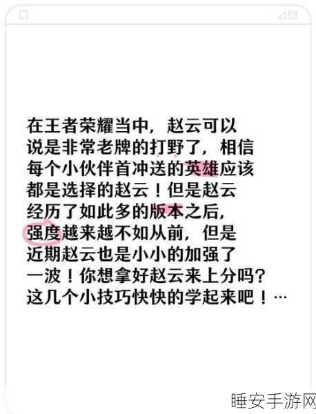 王者荣耀S9赛季赵云实战秘籍，精准技巧助你峡谷称王