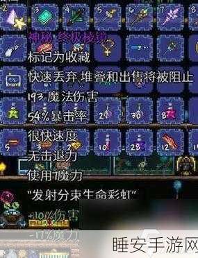 泰拉瑞亚法师终极饰品指南,打造完美毕业装备搭配