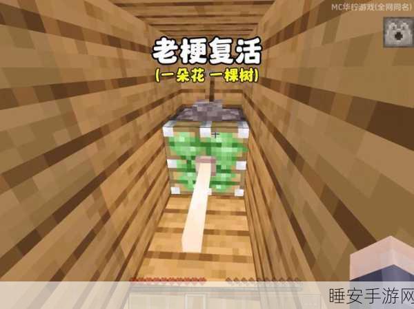 我的世界,种树秘籍与加速生长惊喜大曝光