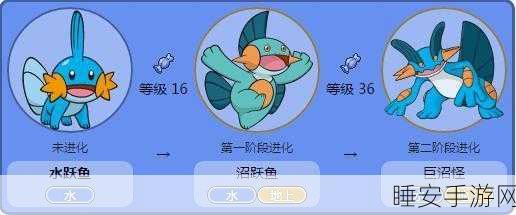 深度解析，口袋妖怪复刻沼跃鱼种族值的奥秘与实战价值