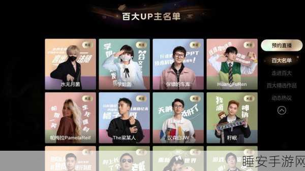 B站2024百大UP主盛典来袭,14项年度大奖花落谁家?