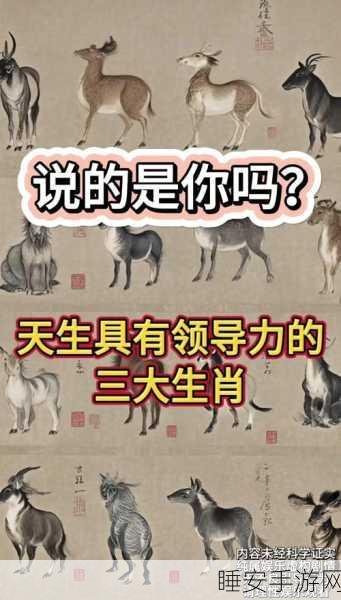 洪兴传说,生肖装备合成秘籍与强大作用全解析