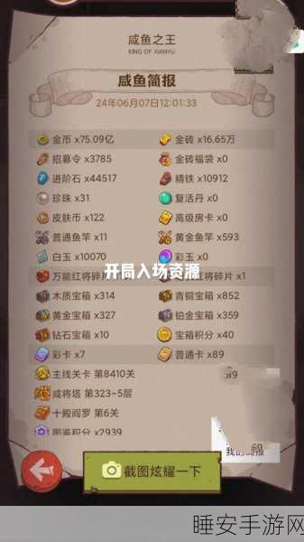 深度解析,咸鱼之王夺旗赛的规则与致胜秘籍